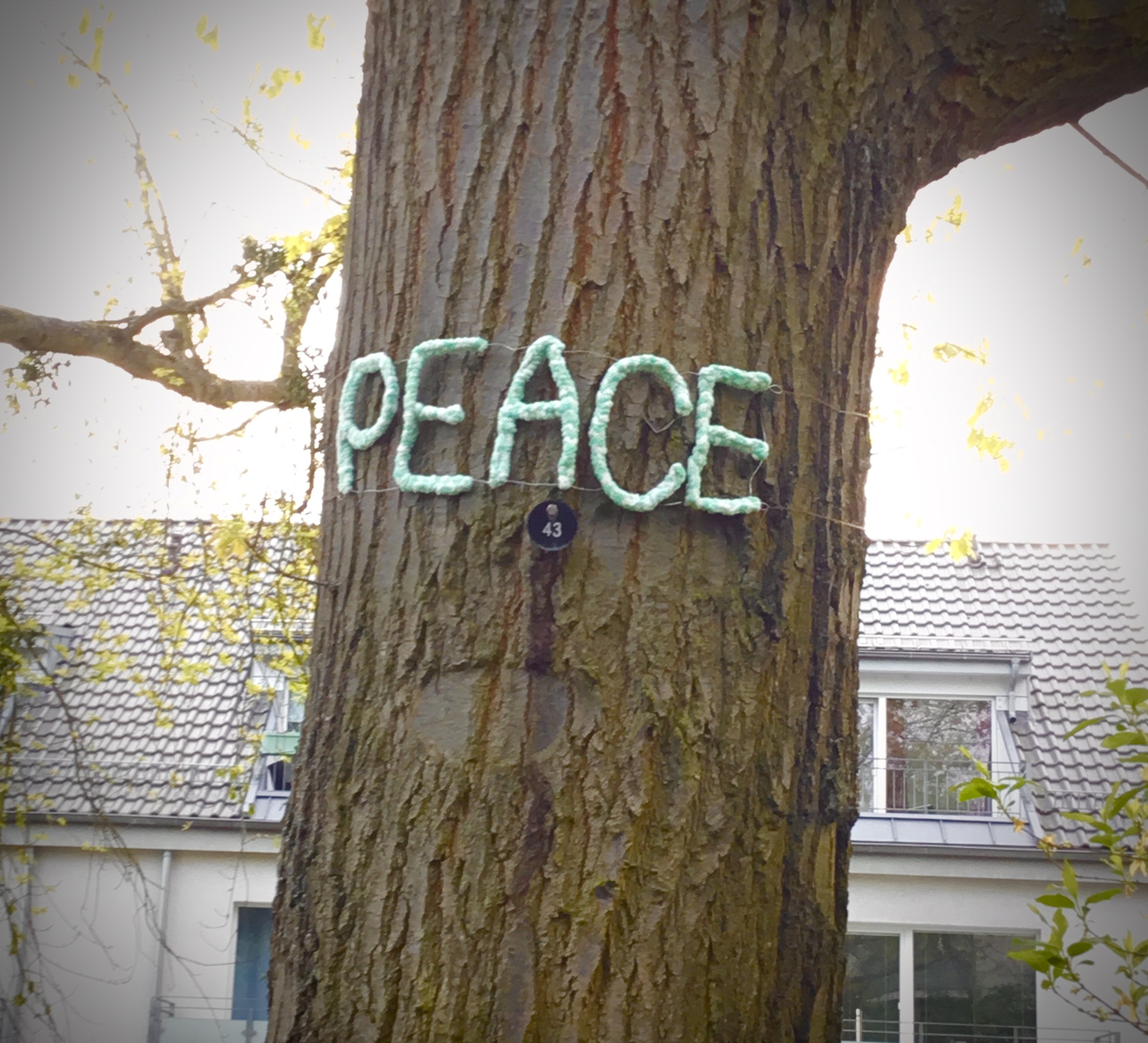 Frieden auf Englisch